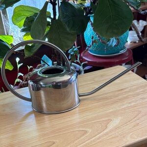 🌿 Esschert Design Modern Stainless Steel Indoor Watering Can - 1L